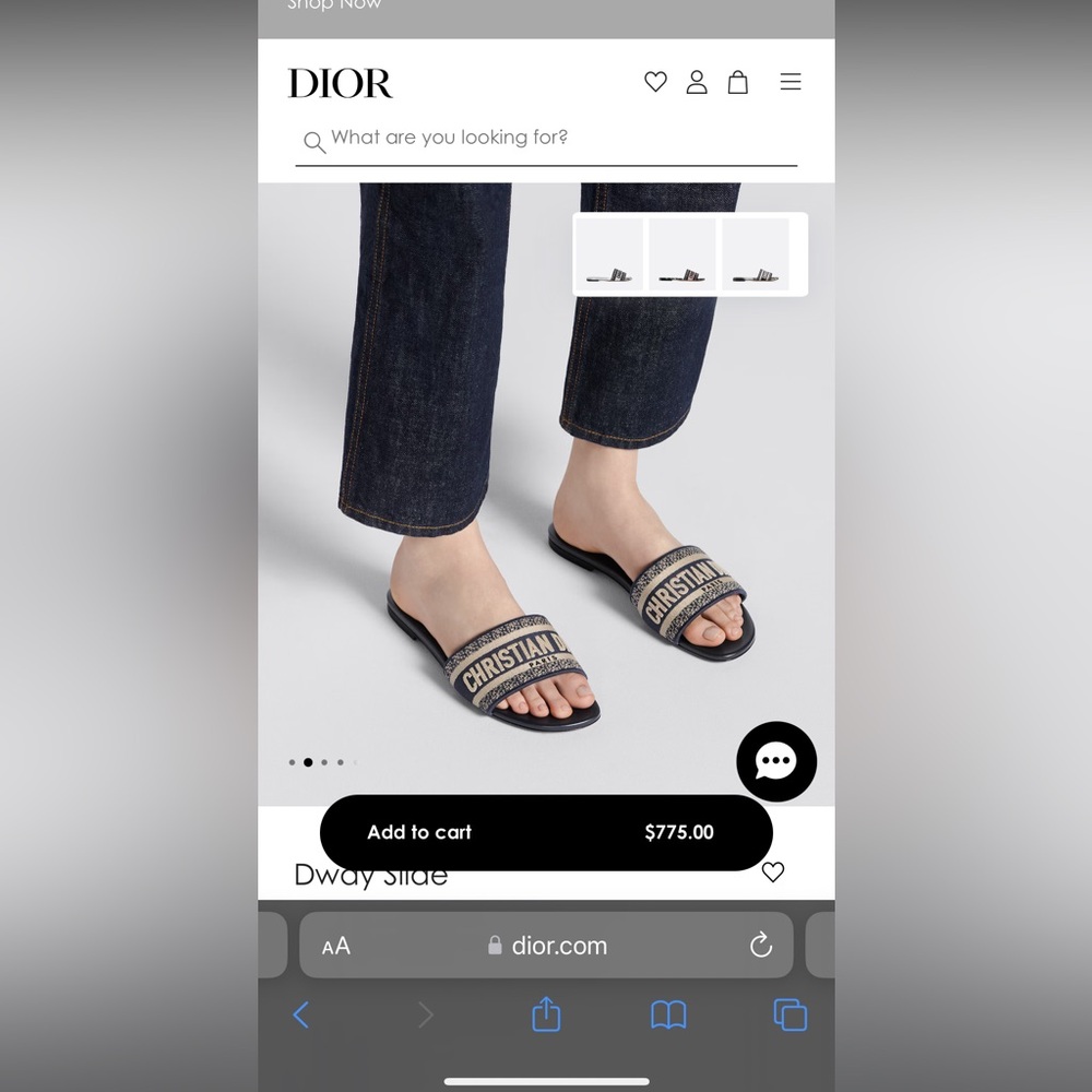 Christian Dior sway slide deep blue